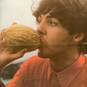 graspofrainbow avatar