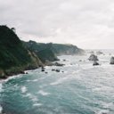 grass-galaxy-blog avatar