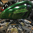 grasshopper66 avatar