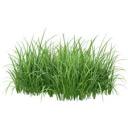 grassrootsmisandry avatar