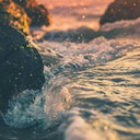 grassturbation avatar