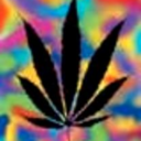 grateful-dead-hippie-blog avatar