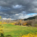 grateful4good avatar