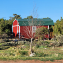 gratefullygrateful avatar