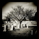 gratuitous-commonplace-tumblelog avatar