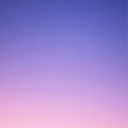 graveeatingtrashbag avatar