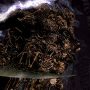 gravelordsworddance avatar