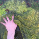 gravesoilbreath avatar