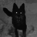 graveyarddpuppy avatar