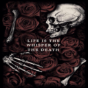 graveyardnights avatar