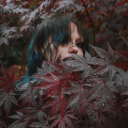 graveyardnymph avatar