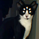 graveyardxheart avatar