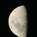 gravitatingwalrus avatar