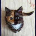 gravity-fails avatar