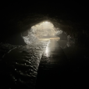 gravity-shifts avatar