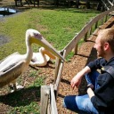 gravityoflife avatar