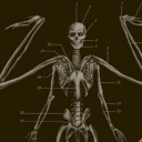 gravyard-criters avatar