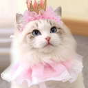 gray-says-hello avatar