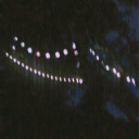 graypossum-music avatar