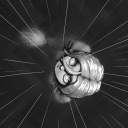 grayvgrayvgray avatar