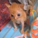 great-art-gotta-love avatar