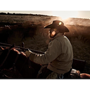 great-lone-wolf avatar