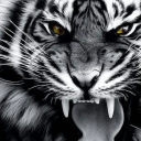 great-rounded-bottoms-2 avatar