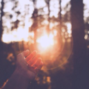 greataventures avatar