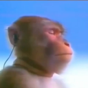 greater7expanse avatar