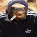 greatlyfucked avatar