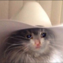 greatmindsthinkalime avatar