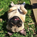 greatness-in-simplicity avatar