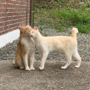 greatnightgentlemen avatar