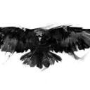 greatqueens-themorrigan avatar