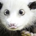 greatruinscashew avatar