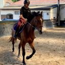 greatsysticstar avatar