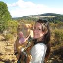 greatthingscomefromterriblelies avatar