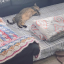 greatvalueofficial avatar