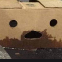 greatwombatwhispers avatar