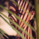 greedytbev-blog avatar