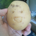 greeeenniseeeen avatar