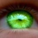 green-eyedgeek avatar