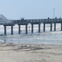 green-hyacinth avatar