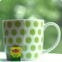 green-tea-moment-blog avatar