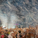 green08dragon avatar