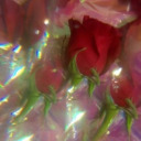 green45678910m avatar