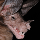 greenapplegirl90 avatar