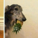 greenbeangreenie avatar