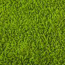 greencarpets avatar