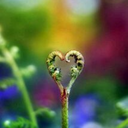 greenconstellations avatar